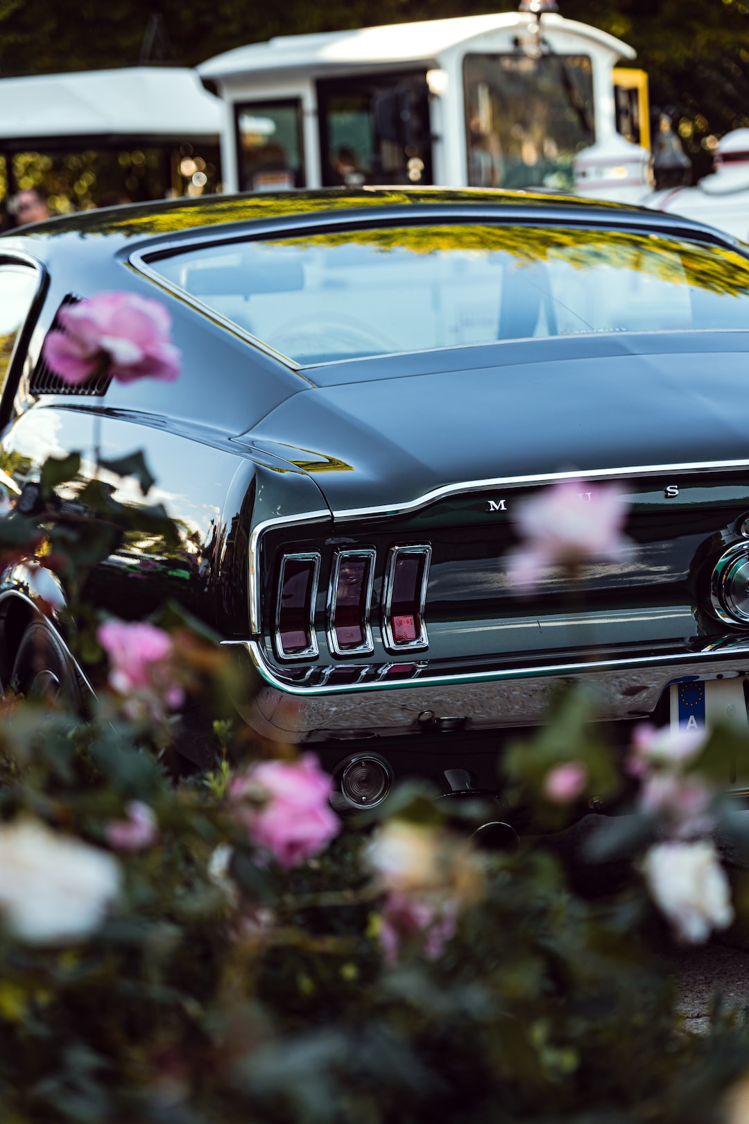 Exploring the Latest Trends in Outdoor Furniture for Modern Outdoor